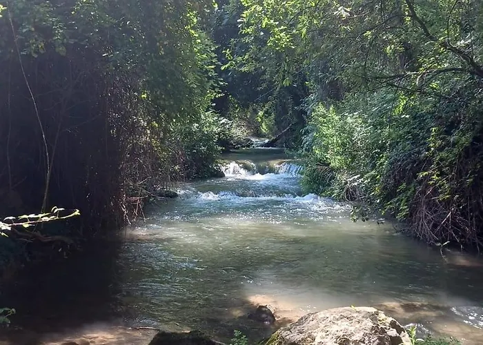 Casco Antiguo Сasa de vacaciones *